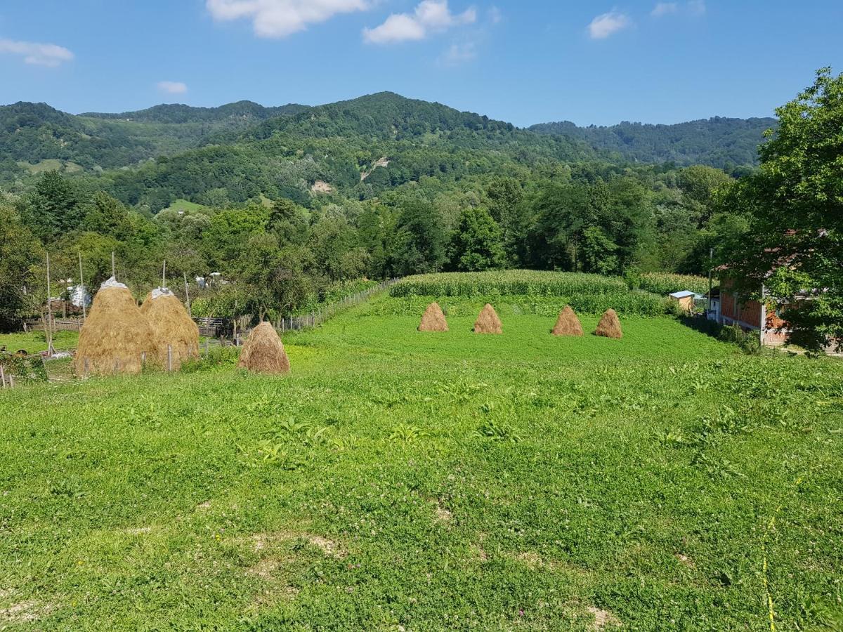 Heaven Guesthouse Corbeni Zewnętrze zdjęcie